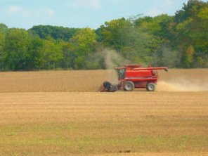 Add Color by Clever Saturation