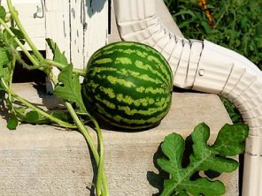 Brighten Colors Selectively