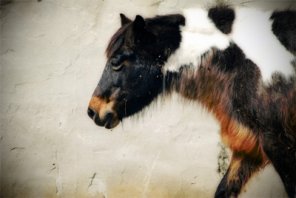 Post-Lomography Effect