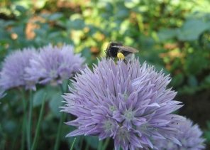 Sharpening with High Pass Filter