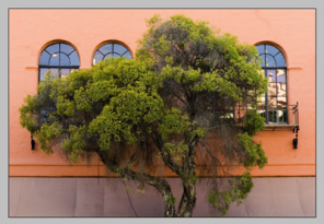 Correcting Perspective Distortion