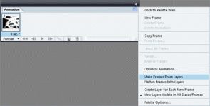 Photoshop and ImageReady Zoom Transition