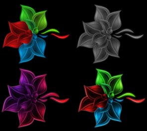 Drawing Colorful Flowers