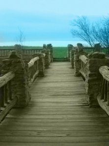 Changing a Black and White Image to Color