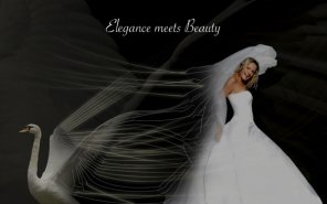 Creating a \'Swan Bride\' - Fun With Paths!