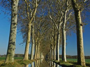 Turn a Road into Water