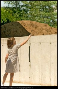 The amazing dissapearing horse