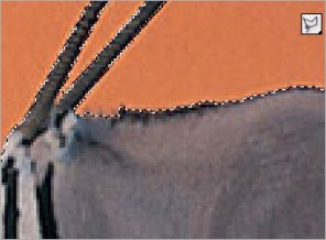 Types of Extraction in Photoshop