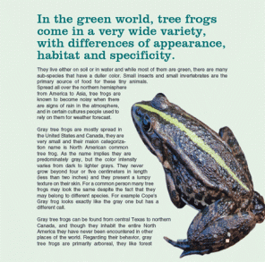 Wrapping Text Around an Image in Illustrator