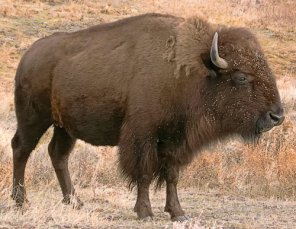 Nesting Smart Objects for Multimask Effects in Photoshop