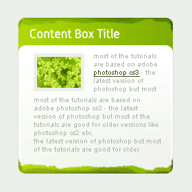 Greenish & Fresh Content Box Design