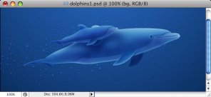 Dolphins