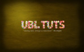 Beautiful Flower Poster