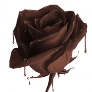 Rose from Chocolate!