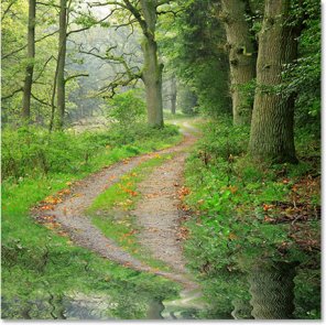 Photoshop Water Reflection