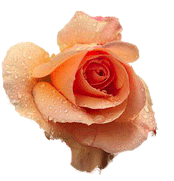 Extracting an Object From it\'s Background