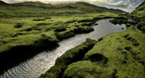 Cs4 using content aware scaling