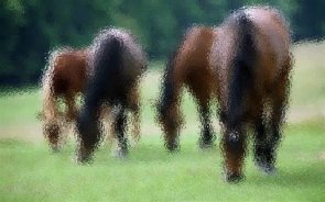 How to Make a Picture Look Like Frosted Glass using Photoshop