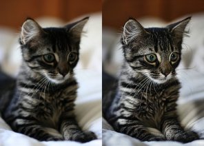 Enhancing Photos with High Pass Filter