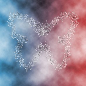 Butterfly from Water Drops