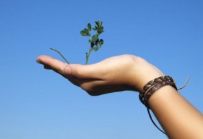 How to Quickly and Effectively Clean Out Body Hair in Photoshop