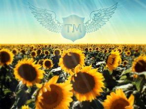 Create a Blue Shield with Wings