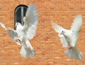 Advanced Motion Blur Masking and Blending in Photoshop CS5 (Video Tutorial)