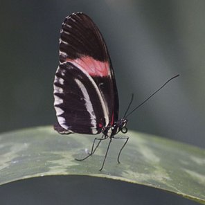 Methods to Improve your Photos