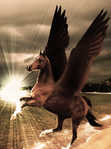 Pegasus