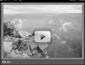 Grayscale Photographs in Lightroom (Video Tutorial)