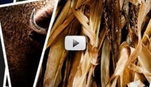 Simple Flash Click-Through Photo Gallery with AS3