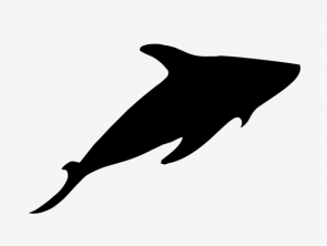 How To Create An Undersea Abstract Wallpaper