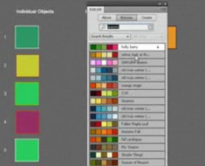 Fireworks CS4 Color Management(Video Tutorial)