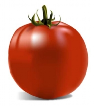 How to Paint Using the Gradient Mesh Tool