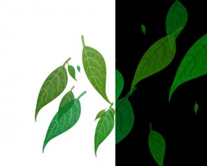 This tutorial shows you how to make brushes