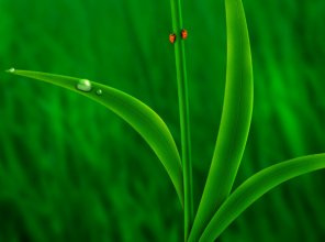 Draw The Friends Wallpape