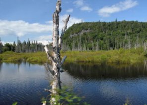 Get Interactive with InDesign CS5, Part 2 of 2(Video Tutorial)