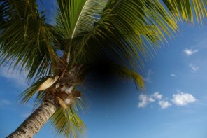 Guide to Photoshop Masks Part One