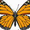 Material Image