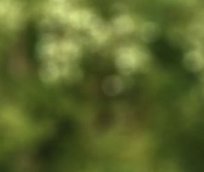 Create Bokeh in Your Images in