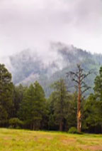 Cube Wrap Object in Photoshop CS5