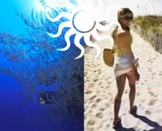 Animation Inside Another Animation