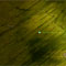 Material Image