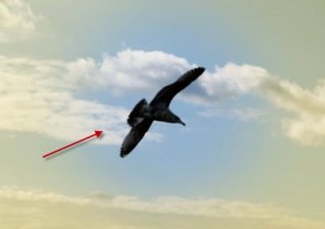 Guide to Photoshop Masks - Part Two