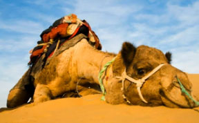 How to Make Realistic Clouds in (Video Tutorial)