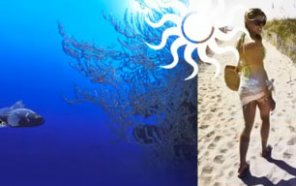 Animation Inside Another Aanimation