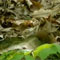 Material Image