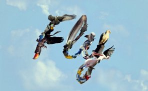 Learn to Create Collage Typography