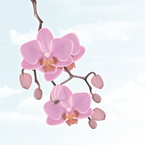 Spring Showcase for Inspiration