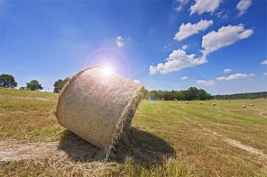 5 Incredibly Useful Non-Destructive Photoshop Techniques